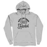 Cher Delaware  Midweight Pullover Hoodie Heather Grey